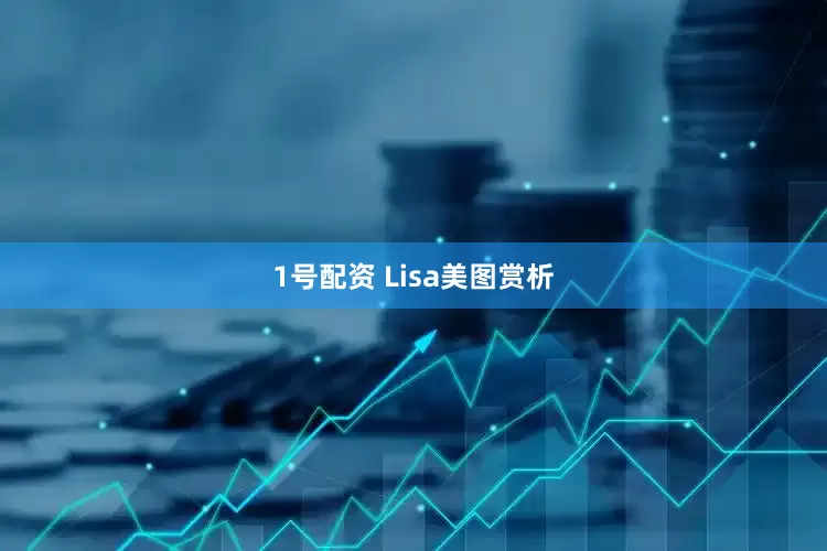 1号配资 Lisa美图赏析